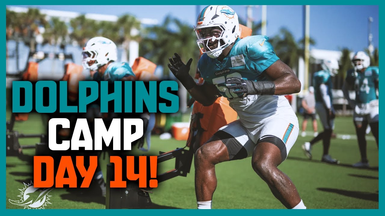 Miami Dolphins 2025 Training Camp Day 14: Another Bad Joint Practice!