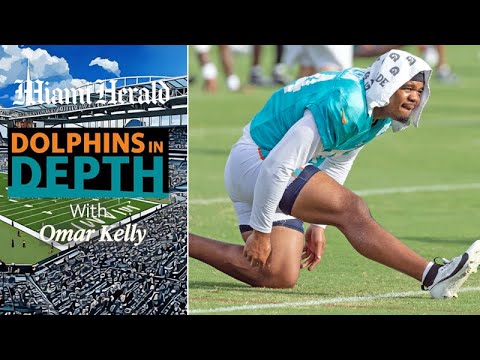 Dolphins in Depth: Will Dolphins respond to Lions' intensity?
