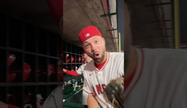 Halos Sweep Celebration 🧹