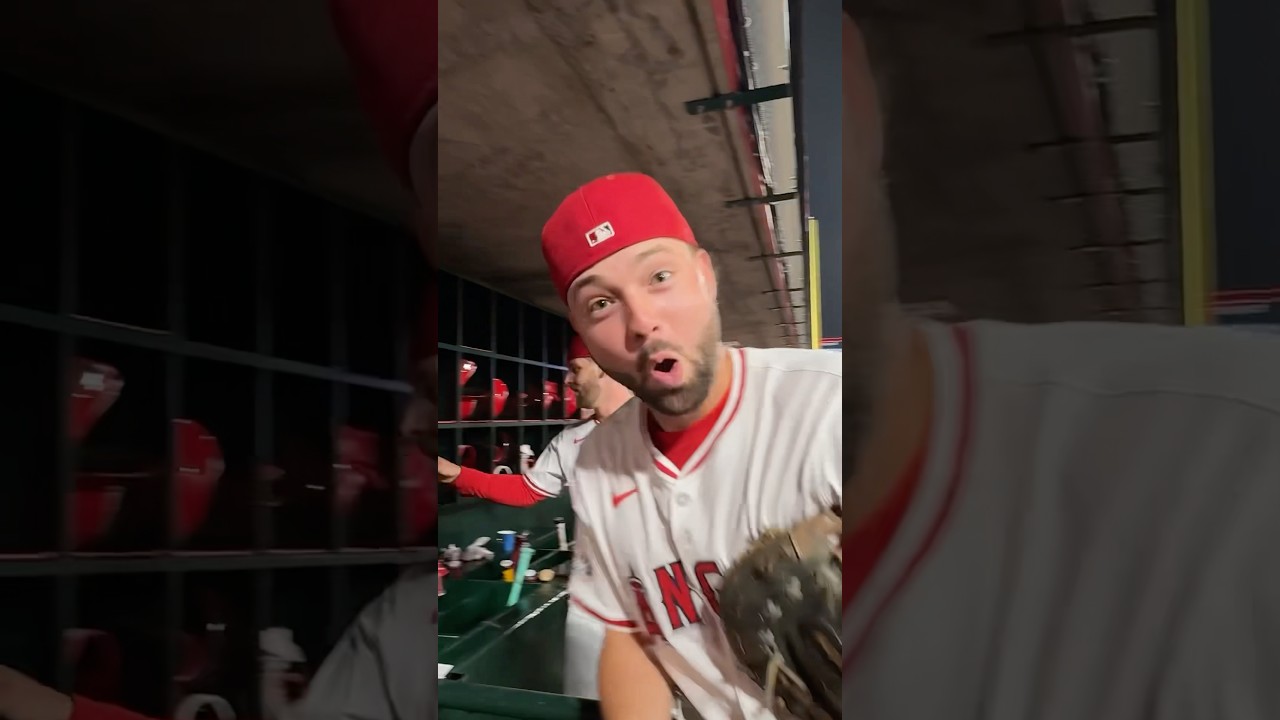 Halos Sweep Celebration 🧹