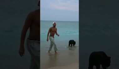 DOGUE Magazine #shorts | Phoenix Suns | Devin Booker