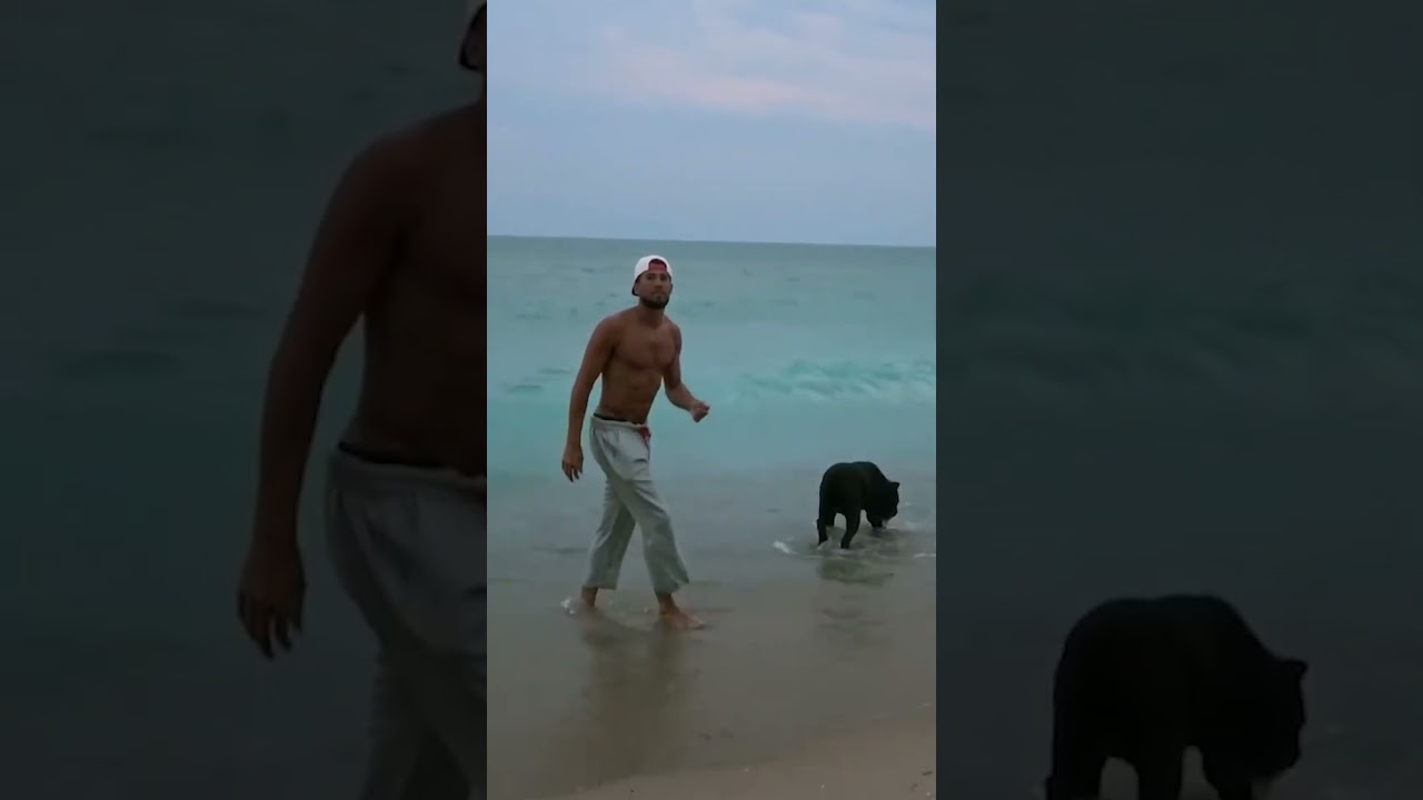 DOGUE Magazine #shorts | Phoenix Suns | Devin Booker