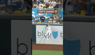 THAT’S NANDO 🤯 #mlb #sportshighlights #baseball #catch #sandiegopadres #fernandotatisjr #sports