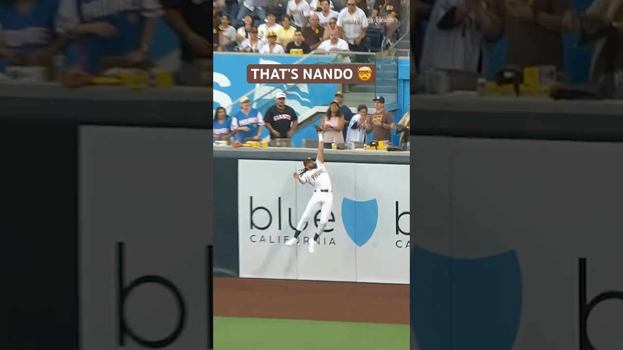 THAT’S NANDO 🤯 #mlb #sportshighlights #baseball #catch #sandiegopadres #fernandotatisjr #sports