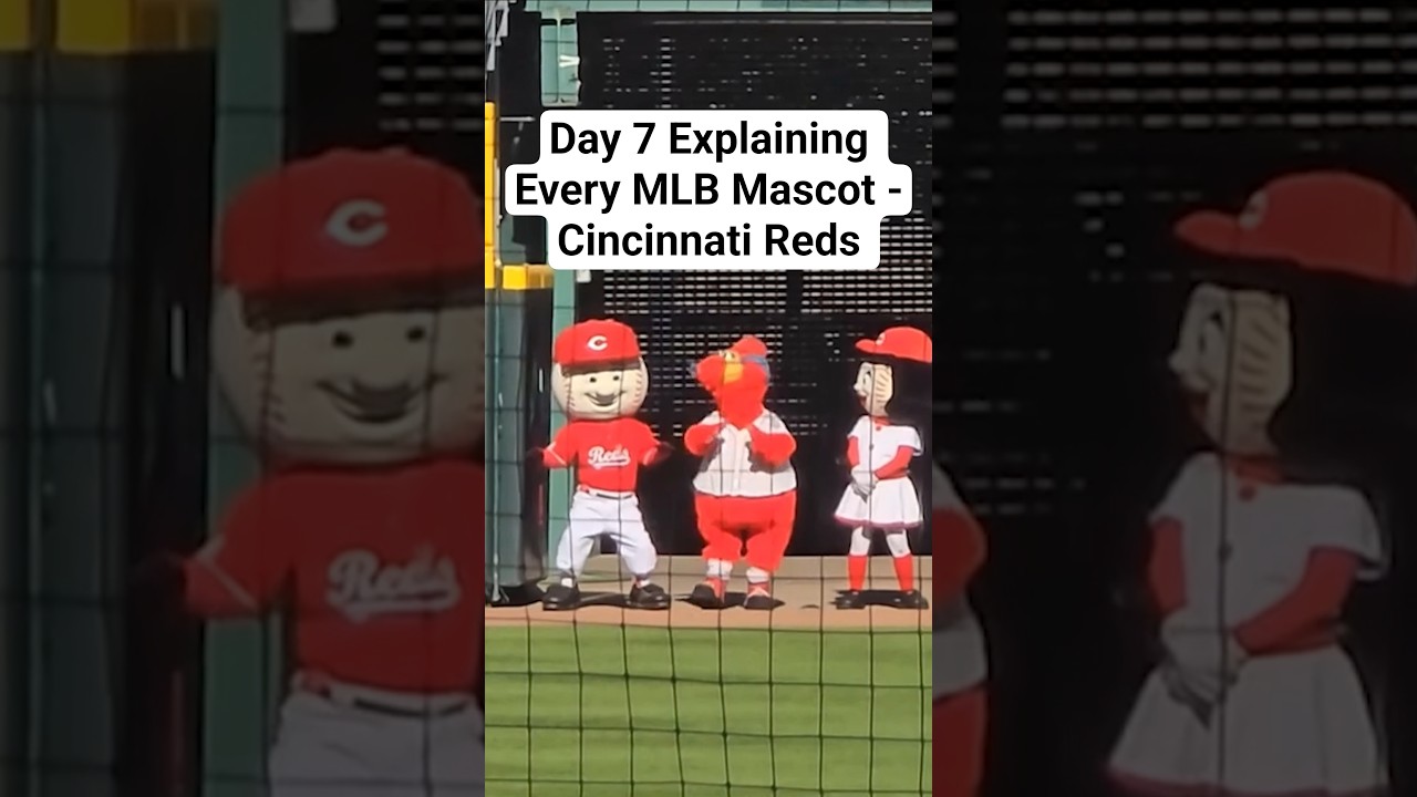 Day 7 of Explaining Every MLB Mascot - The Cincinnati Reds' Mascots #MLB #baseball #mascots #reds