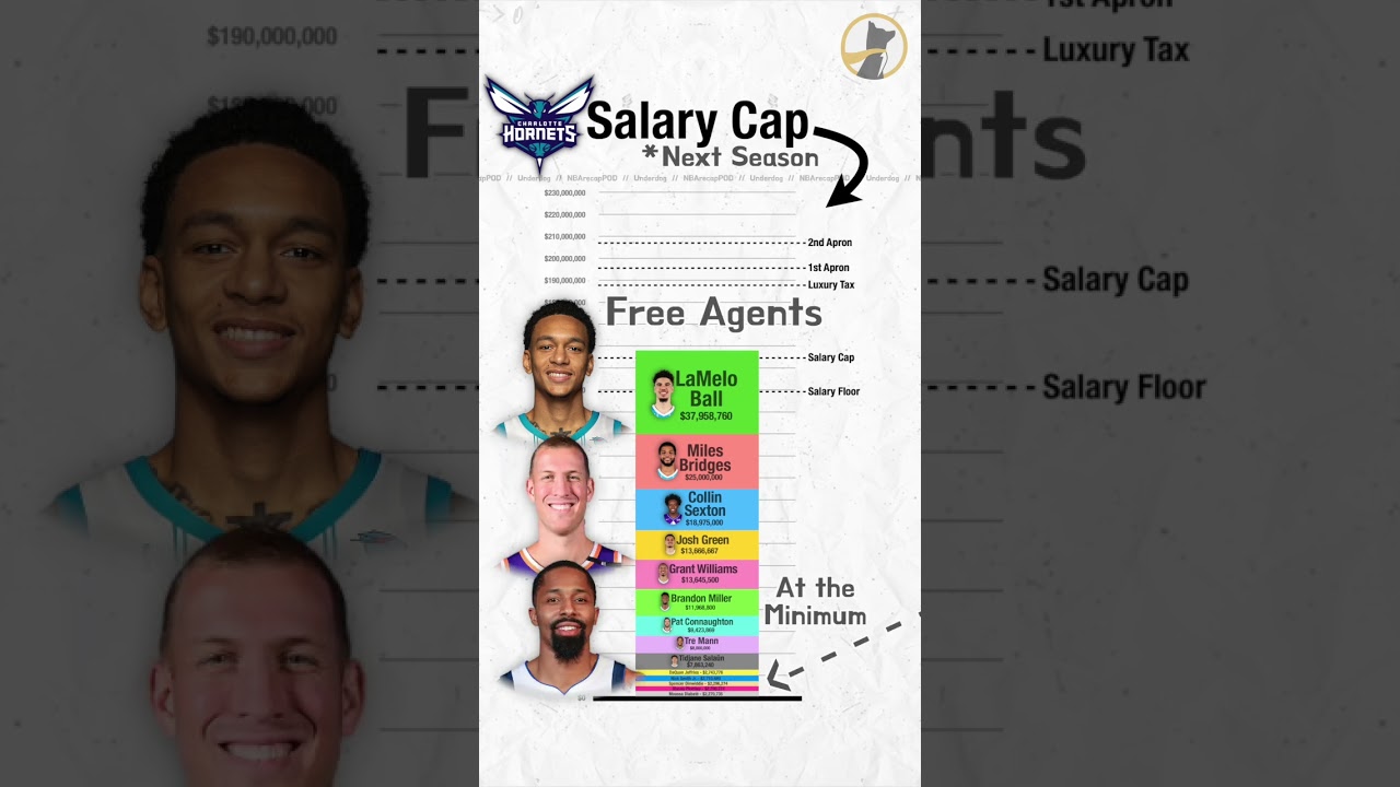 Salary Cap Breakdown - Charlotte Hornets