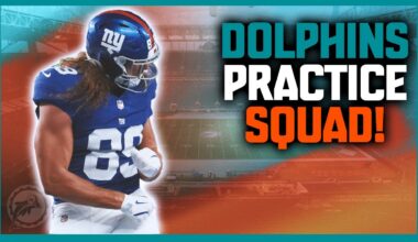 Miami Dolphins 2025 Practice Squad & More!!