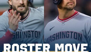 Come back to us, we need another Lowe