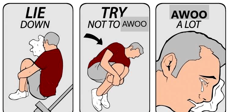 Sadly, Still Perfectly Captures My Coyotes Emotions