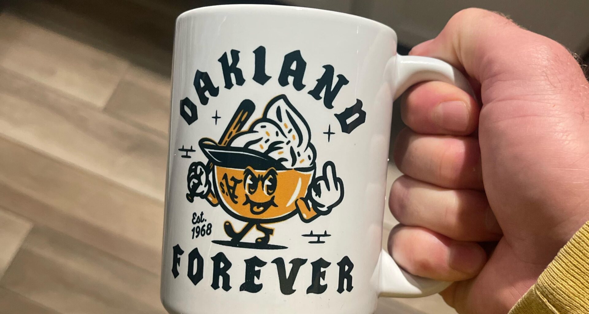 My new addition arrived today🥰🥰