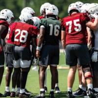 Gamecock sports week in review: August 3, 2025 | Communities