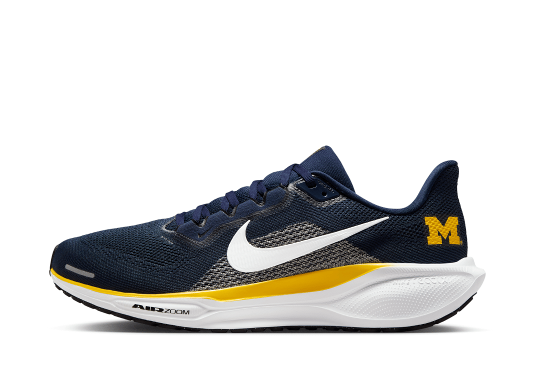 Nike Pegasus 41 Michigan