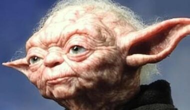 Don't insult Yoda like that