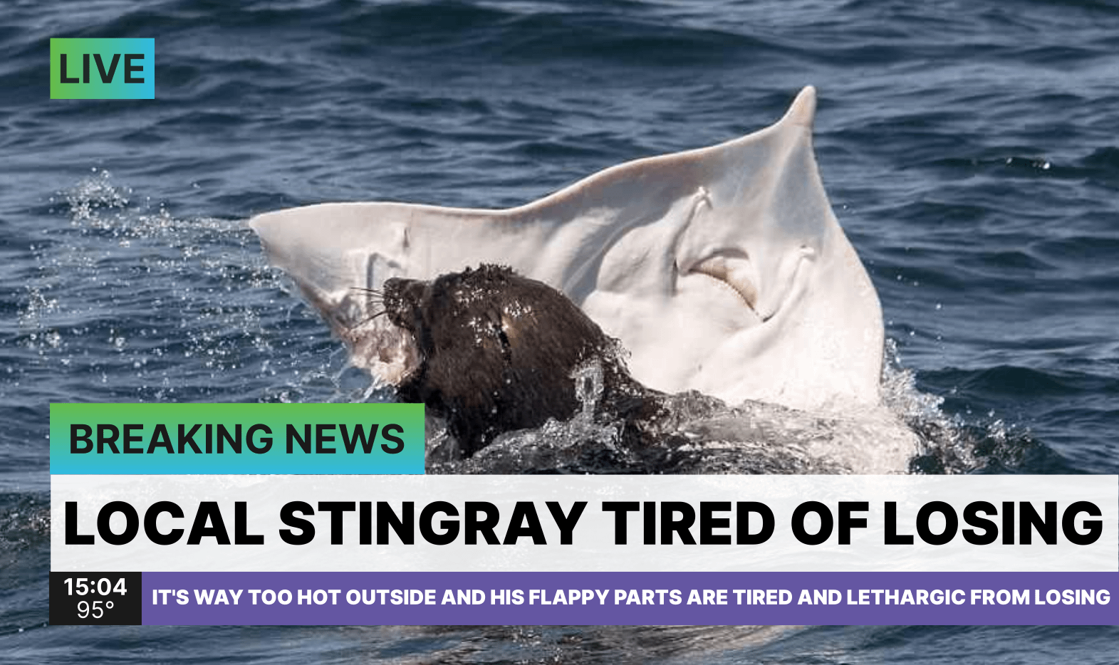 PGT: Silver linings, silver linings. We got Griffin Jax! [F: 4-7]