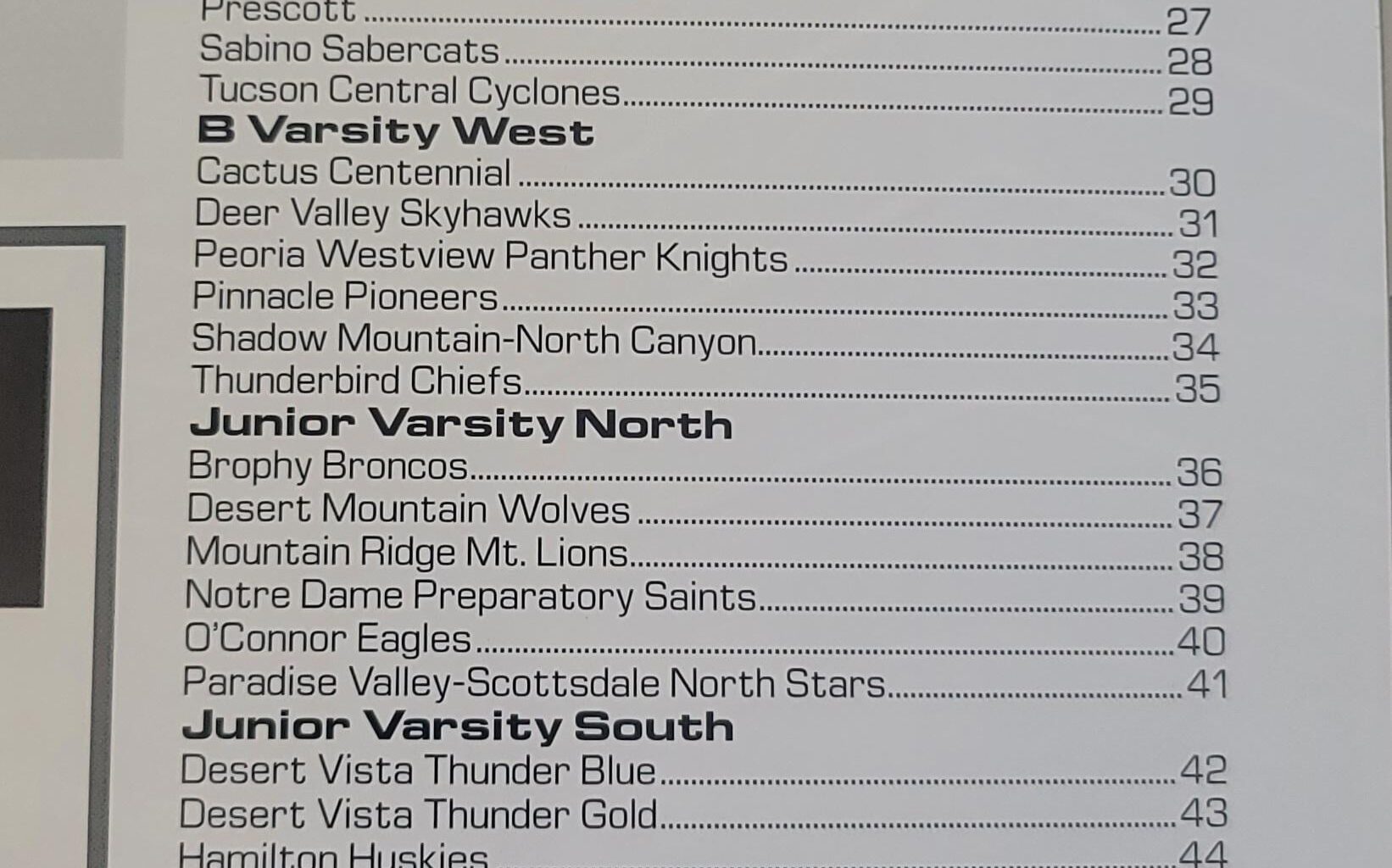 2004 AZ High School Hockey