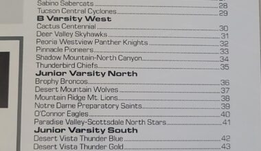 2004 AZ High School Hockey