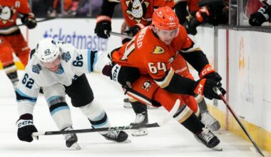 Ducks sign Sam Colangelo to two year contract