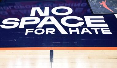 For the WNBA, this is about more than just green sex toys