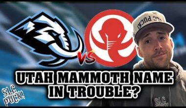 If Mammoth Hockey Bags thinks they can change our team's name, they got another thing coming.