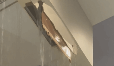 We rescued Peterka, now we just gotta liberate Tage Thompson (and steal back King and Doan) from that hellhole...