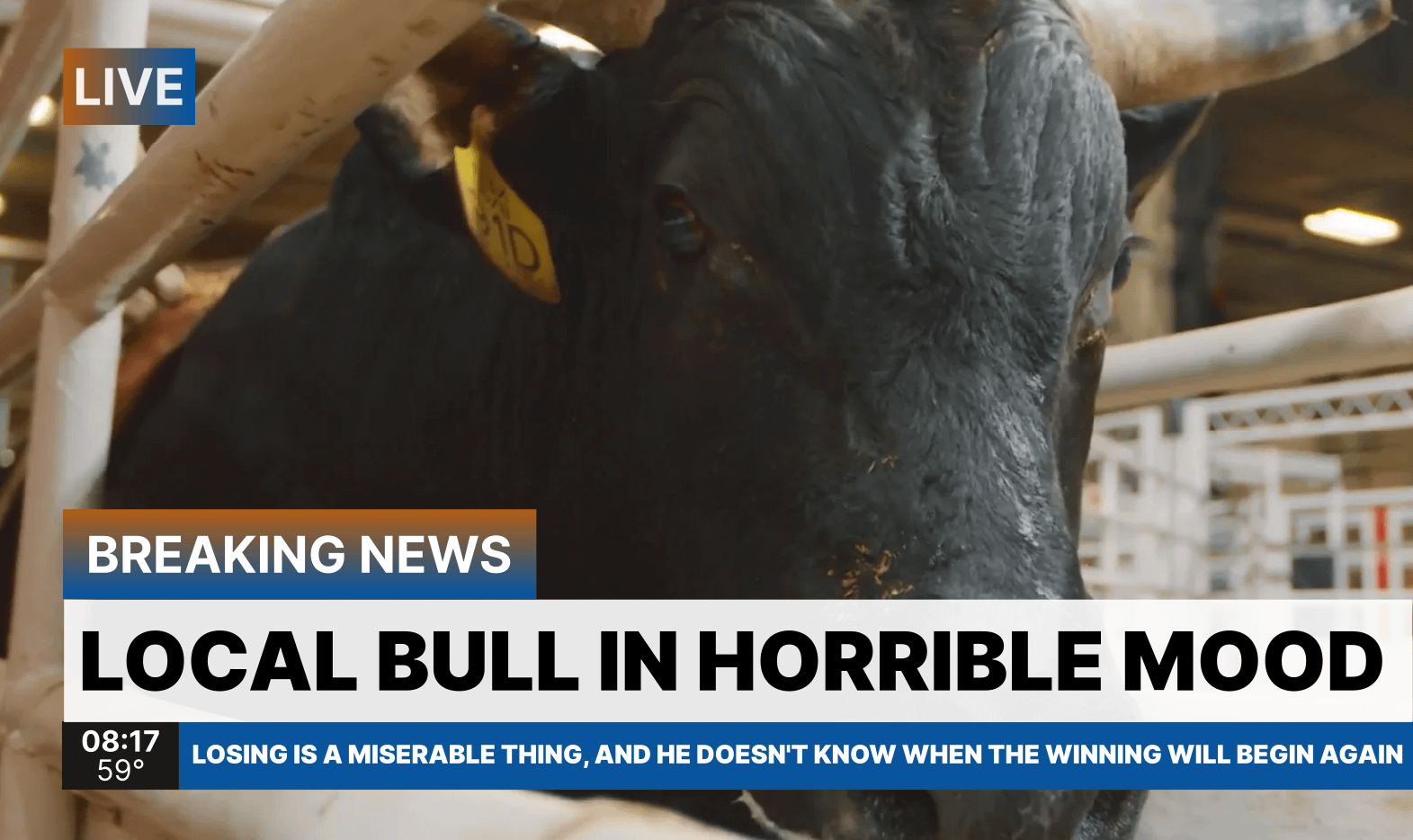 PGT: Moo-vin' right along. Nothing to see here. This game was cud and bull from flank to rump. [F: 0-3]