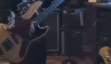 Playing "true men don't kill coyotes" by the red hot chili peppers in a coyotes jersey