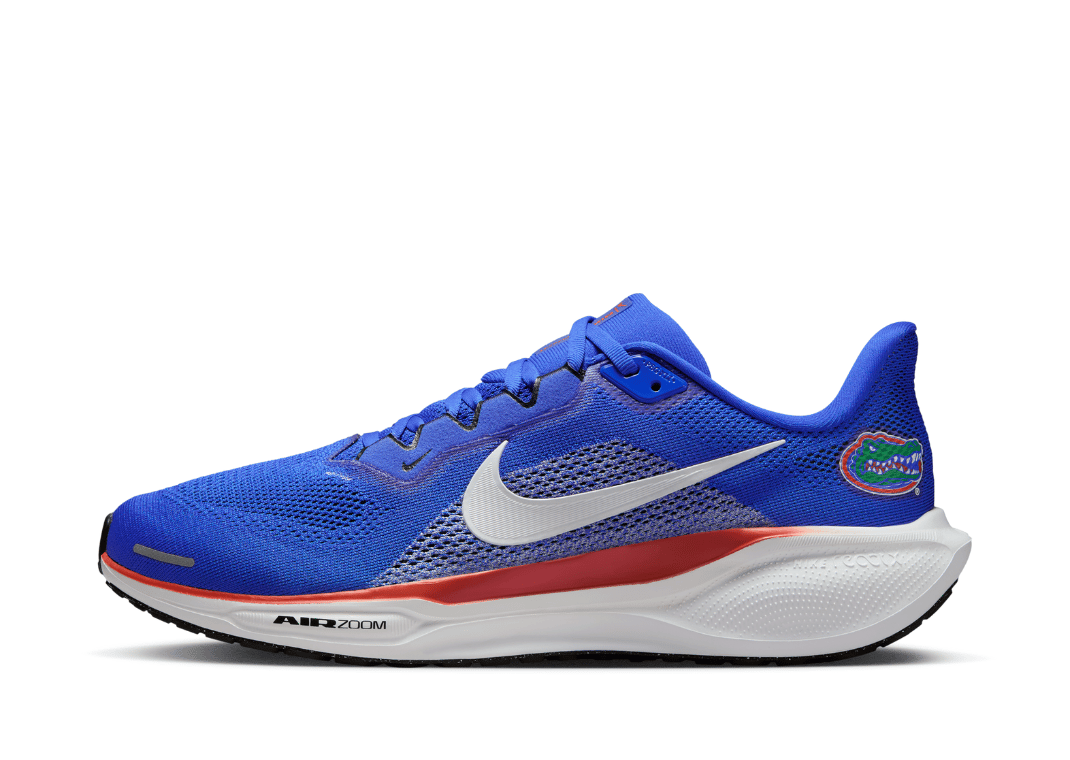 Nike Pegasus 41 Florida Gators