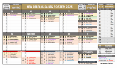 Saints 53-Man Roster Visualized (plus IR & practice squad)
