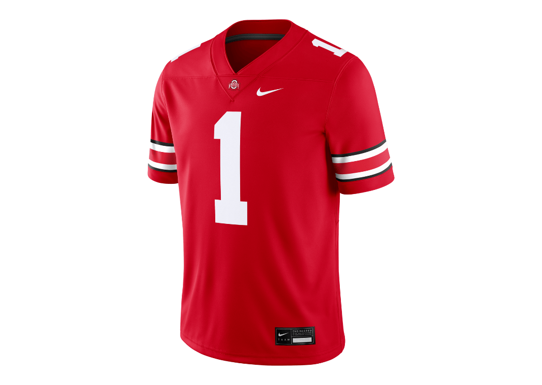 Ohio State Buckeyes Men's Nike Dri-FIT College Game Jersey