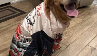 At least someone’s happy after the angels game tonight…