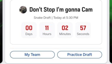 Fantasy Footballers of the subreddit, show me your team names!