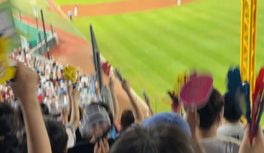 Can MLB fans show this kind of energy?