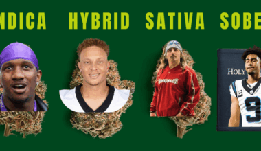 From Couch Locked to Wide Awake… Dank buds from the NFCS dispensary.