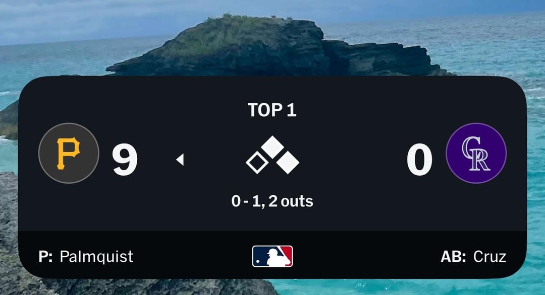 Pirates In A Nutshell