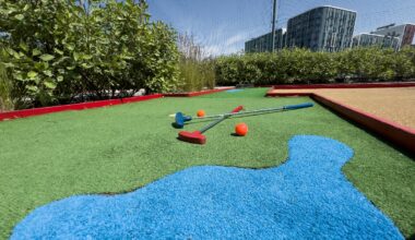 Woman Loses Arm After Tree Falls On Her During Round Of Mini Golf