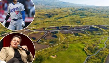 Shohei Ohtani, agent accused of sabotaging $240 million Hawaii real estate deal in shocking lawsuit