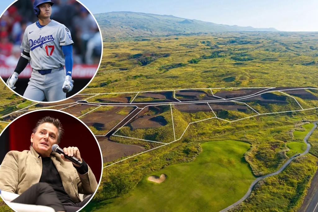 Shohei Ohtani, agent accused of sabotaging $240 million Hawaii real estate deal in shocking lawsuit