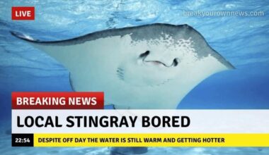 Day off thread: Strange Saturday off.  Williams hype continues.