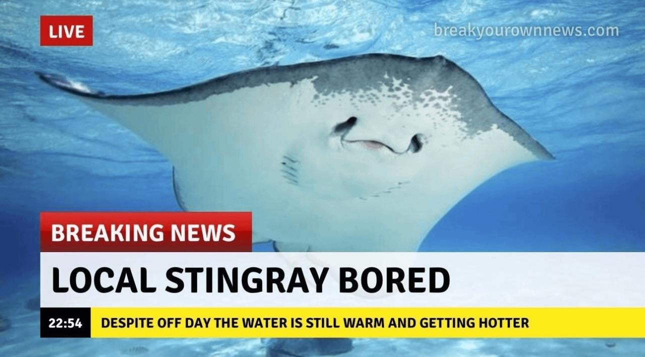 Day off thread: Strange Saturday off.  Williams hype continues.