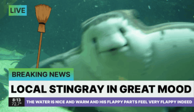 PGT: For the first time since June 26, the Tampa Bay Rays have swept their opponent! [F: 7-4]