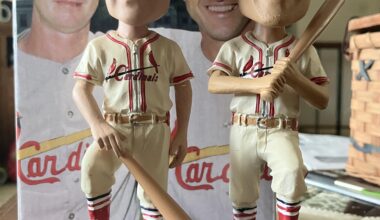 Picked this up today for $20