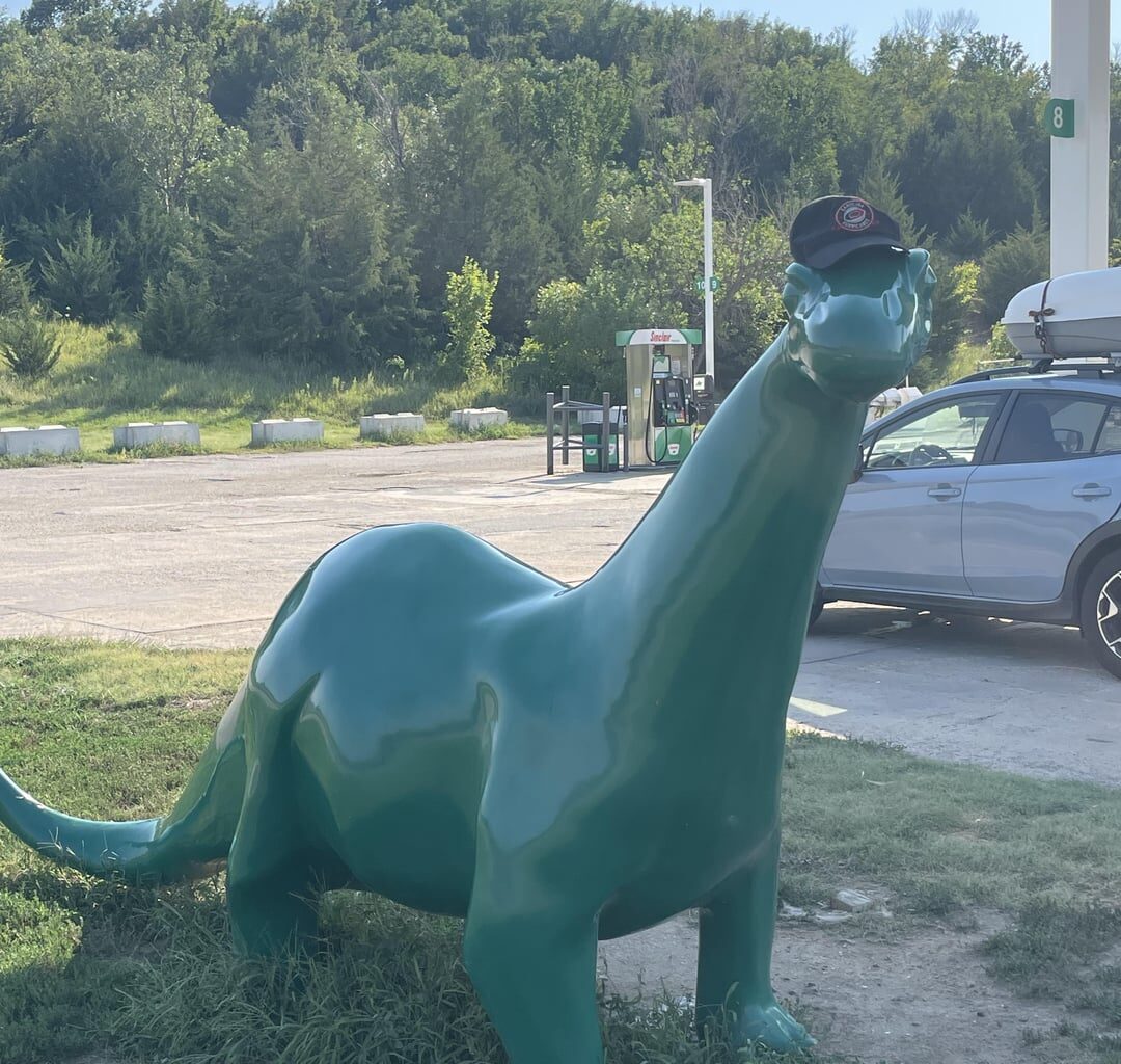 Taking my Canes with me out West.