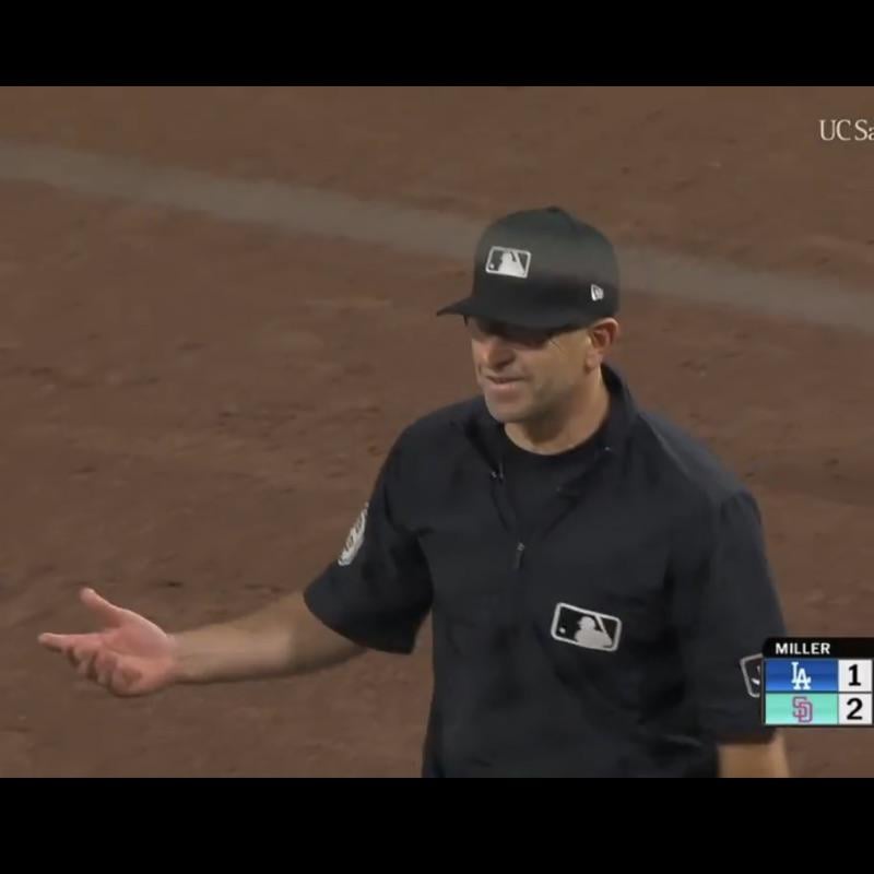 Why was the Ump so visibly upset?