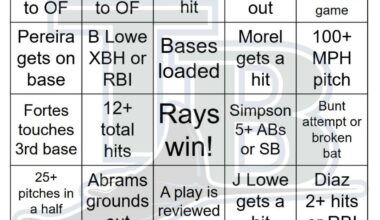 Rays vs Nationals Bingo, 8/29/2025