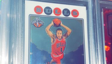 With news of the upcoming Jersey retirement, had to show off one of my favorites in the collection 🐂🌹