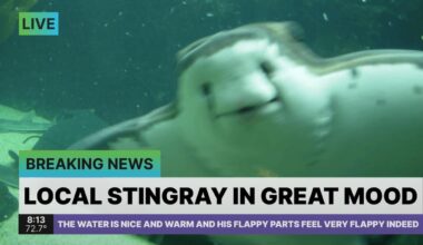 PGT: Late inning Rays strike again! [F 2-1]