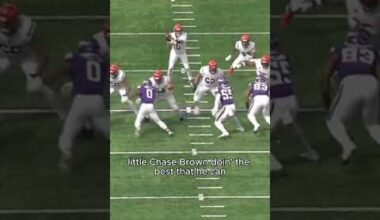 Short video I made about how I feel about the Bengals after 3 weeks