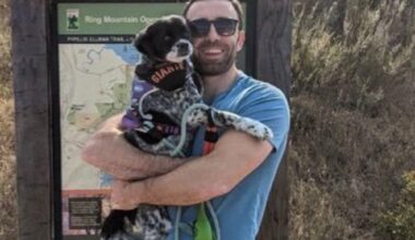 Despite missing more than a month on the injured list, Matt Chapman leads all NL third basemen with 4.0 fWAR, and is 4th among all third basemen in that category. José Ramírez, Maikel Garcia, and Junior Caminero are the names in front of Chapman.