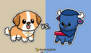 New Orleans Saints Week 4 Matchup Doodle :)