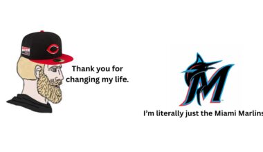 YOUR CINCINNATI REDS ARE GOING TO THE PLAYOFFS!!!!!!!